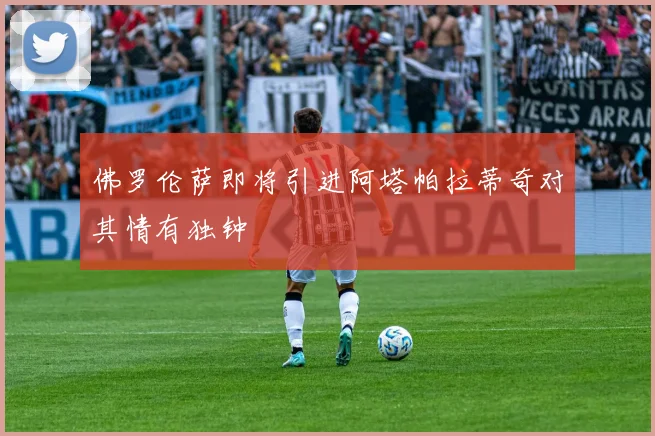 佛罗伦萨即将引进阿塔帕拉蒂奇对其情有独钟