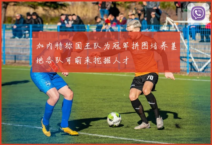 加内特称国王队为冠军拼图培养基地各队可前来挖掘人才